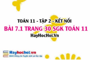 Bài 7.1 trang 30 Toán 11 tập 2 Kết nối tri thức